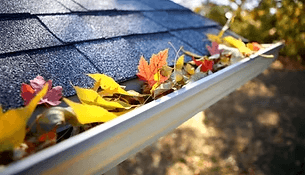 Eavestrough & Gutter Cleaning
